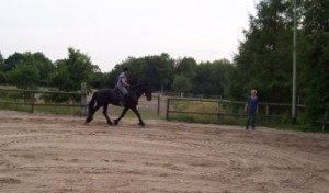 instructie, zitles, rechtrichten, antoine de bodt, klassieke rijkunst, houding, ruiter, paard